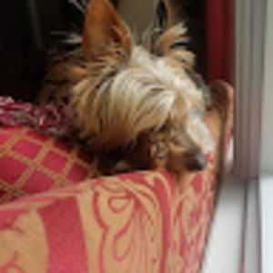 Meet your Posher, Heidi